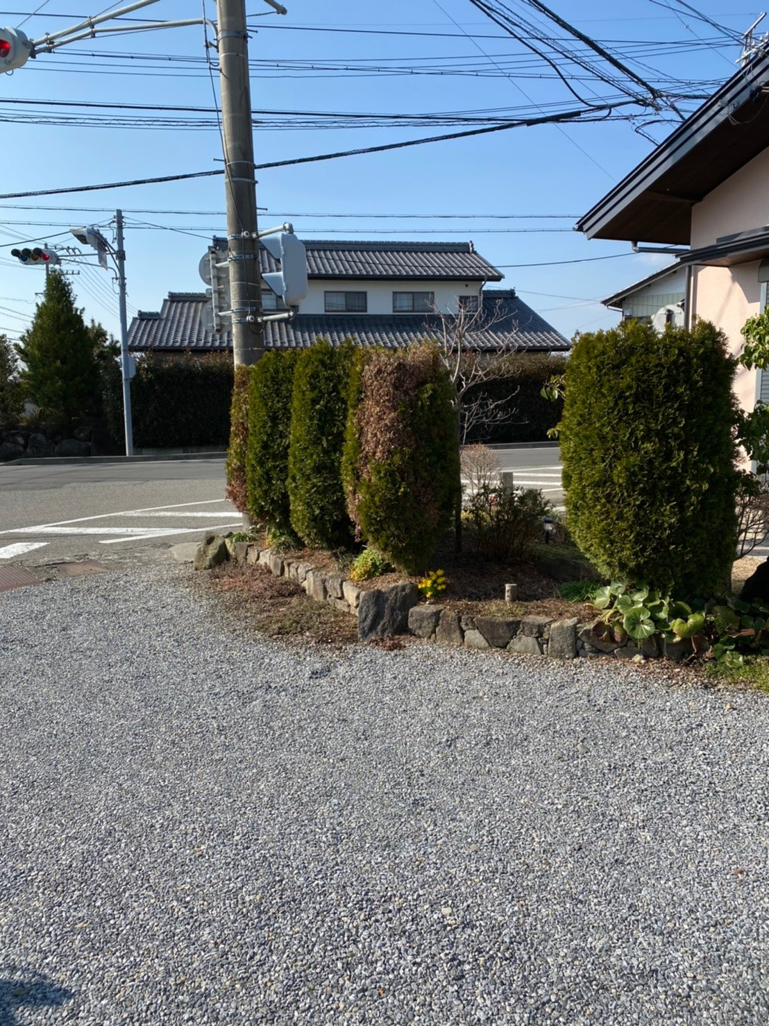 垣根の植え替え